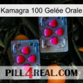 Kamagra 100 Gelée Orale 14
